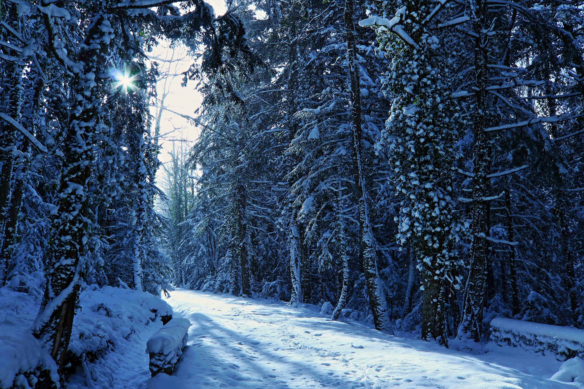 Sentiero innevato nella riserva MAB UNESCO di Collemeluccio