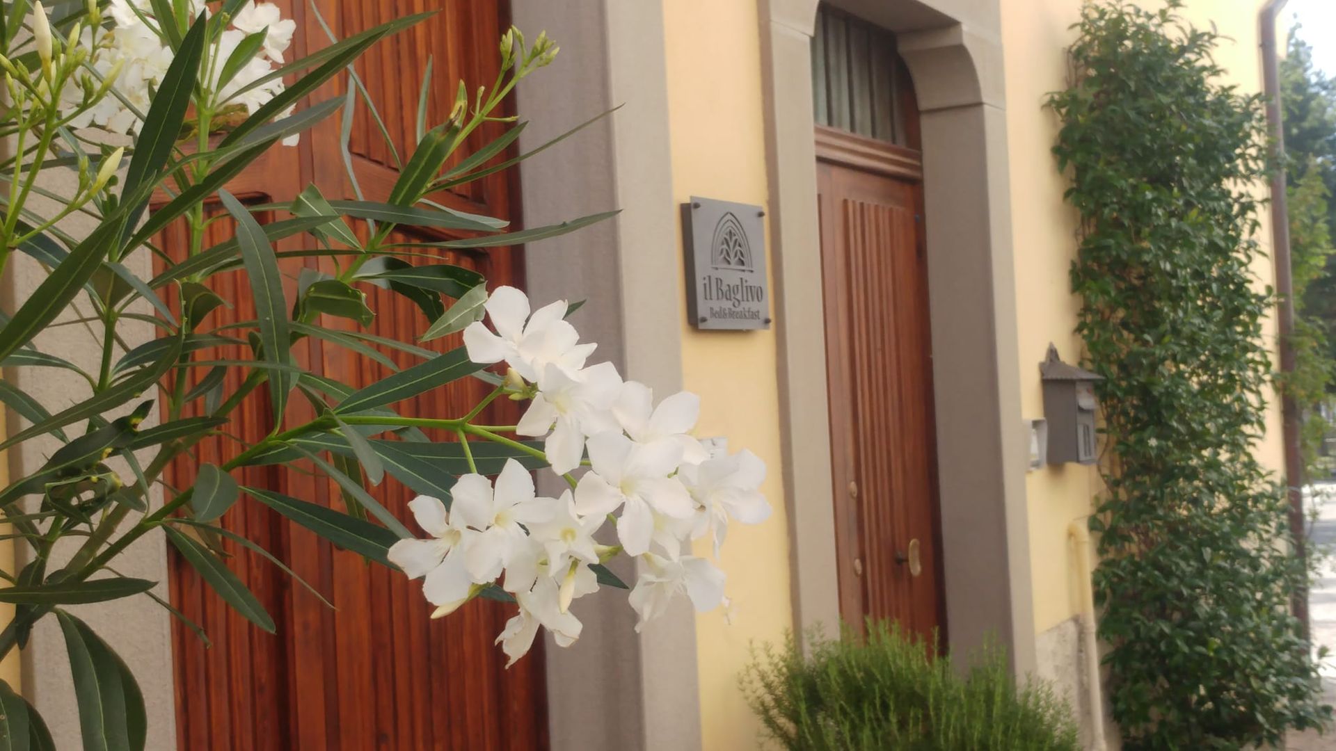 L'Ingresso - Oleandri e pietra sulla facciata