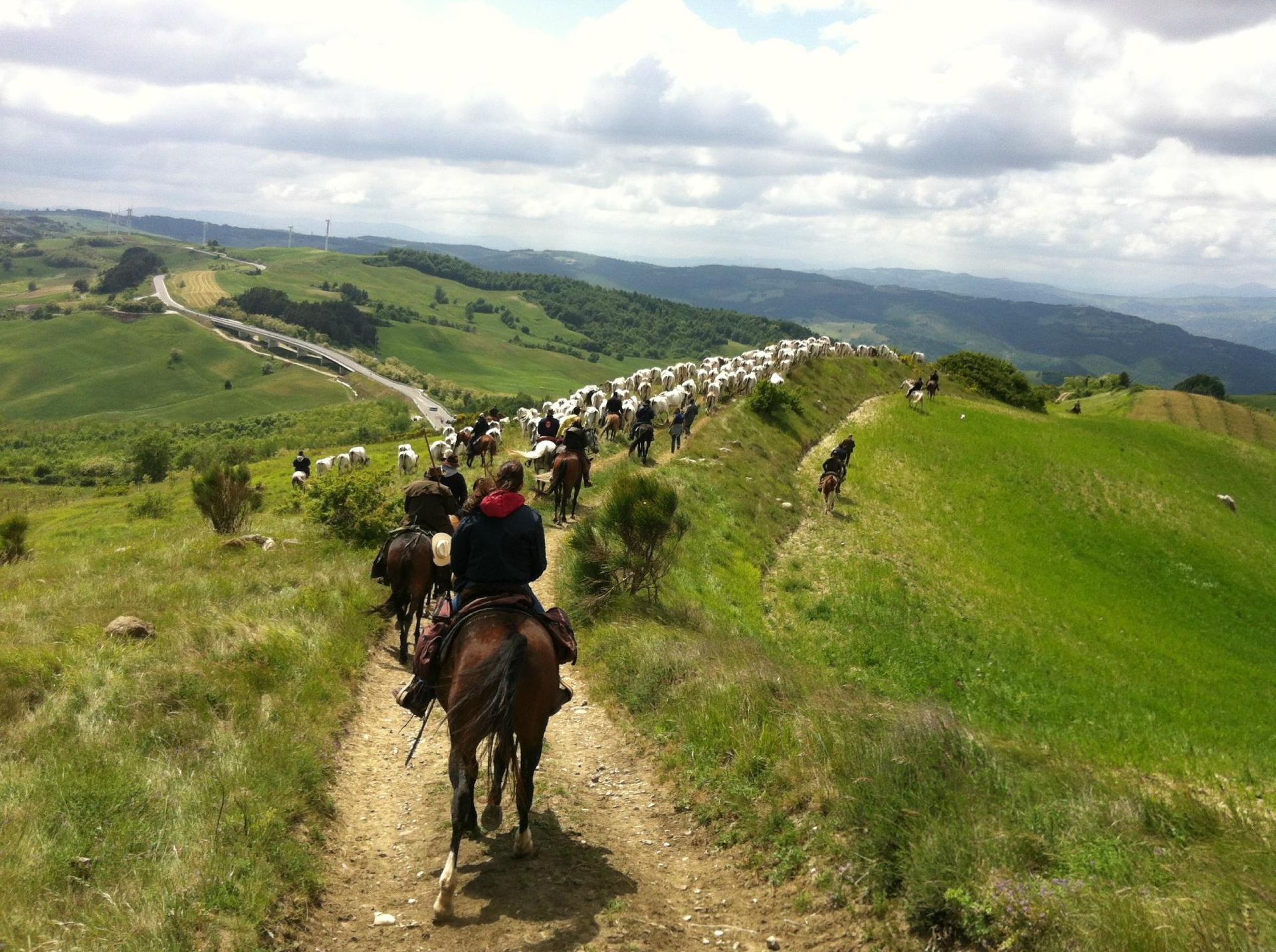 Cavalieri di Staffoli Horses lungo un tratturo durante la transumanza